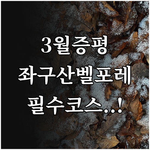 증평 좌구산 자연휴양림과 벨포레 에듀..