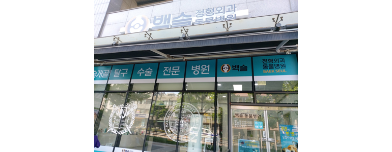 서울 중구 동물병원