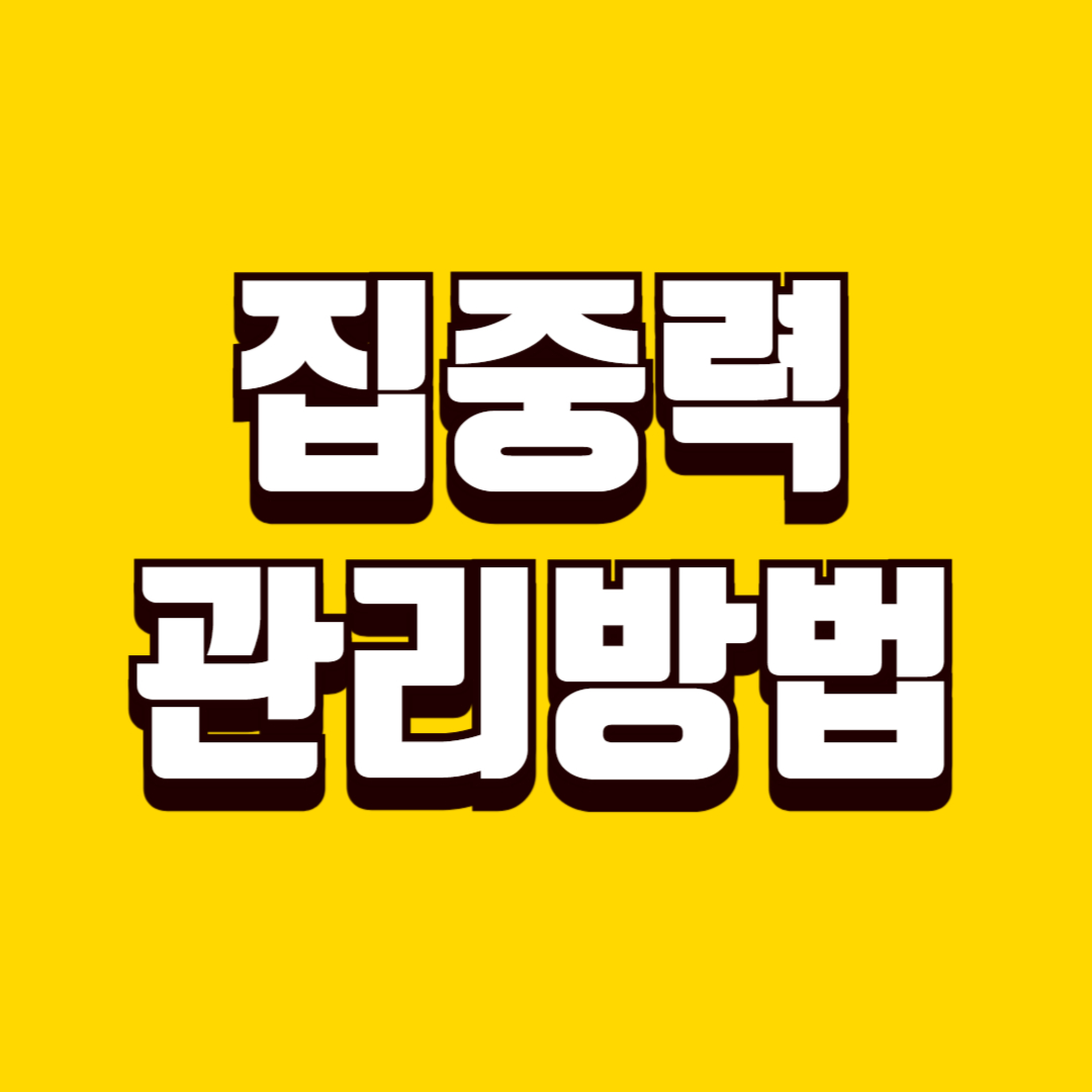 생활 집중력 관리 방법, 산만함 줄이는 꿀팁