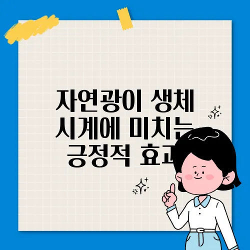 자연광이 생체 시계에 미치는 긍정적 효과