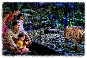 싱가포르 나이트 사파리