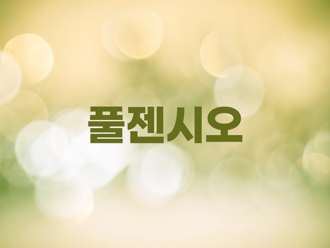 풀젠시오 천주교 남자세례명