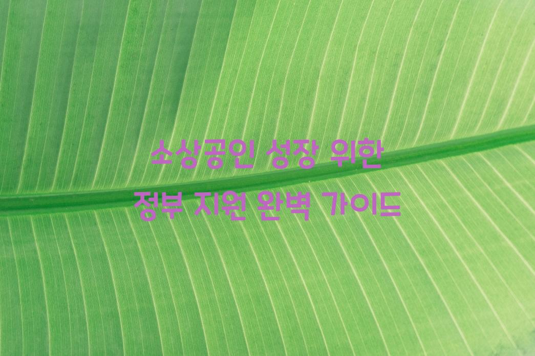 소상공인