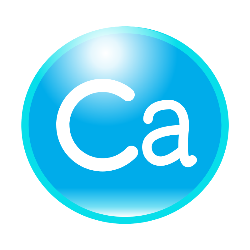 칼슘 많은 음식