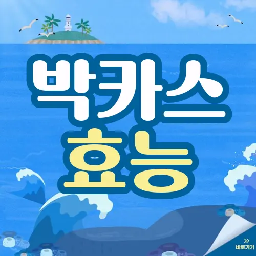 박카스 효능