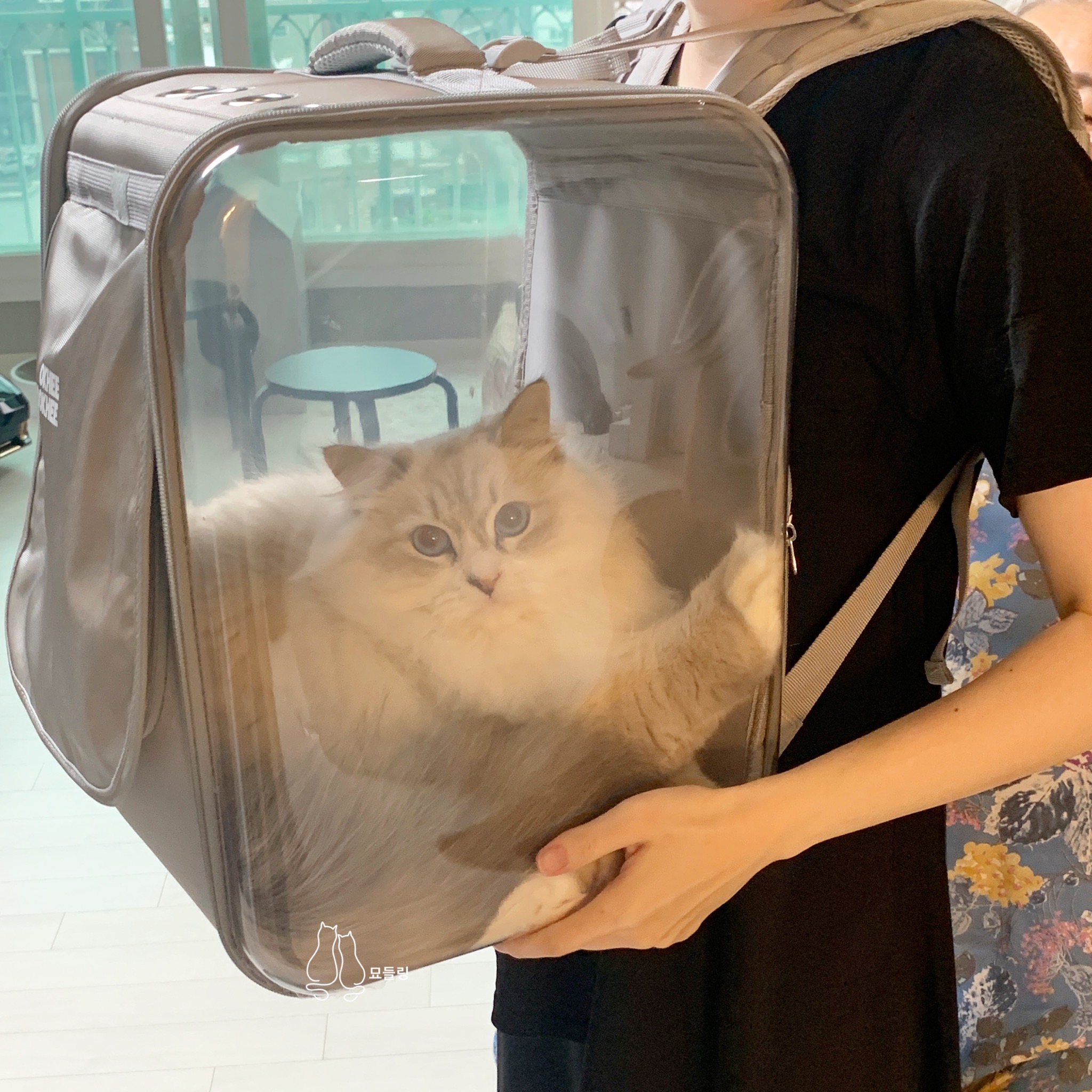 옥희독희네모냥백팩