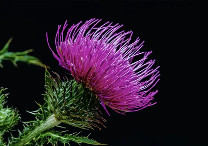 푸드올로지 부작용 14