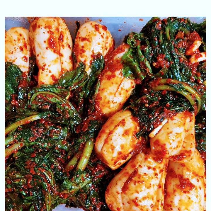 진심 가득 건강 담은 맛 요리 강서구 까치산시장 맛집 추천 생방송투데이 우리동네 반찬가게