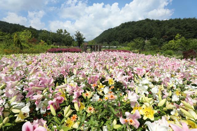 국립 백두대간수목원