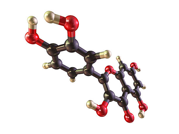 플라보놀(flavonol) 효능