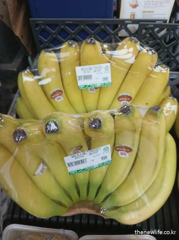 투명 비닐로 포장된 바나나 한 송이가 진열대에 진열되어 있는 모습