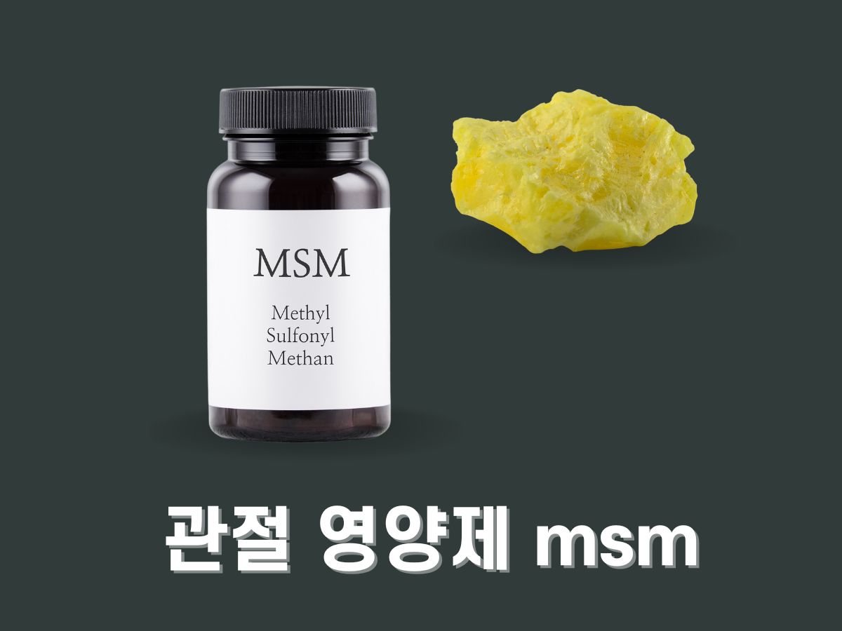 관절 영양제 msm 추천