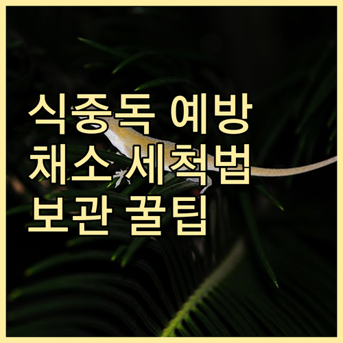 식중독 예방! 채소 종류별 맞춤 세척..