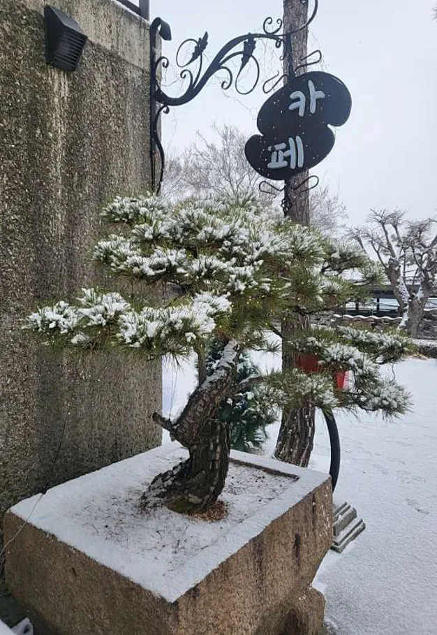 더 포레 1947