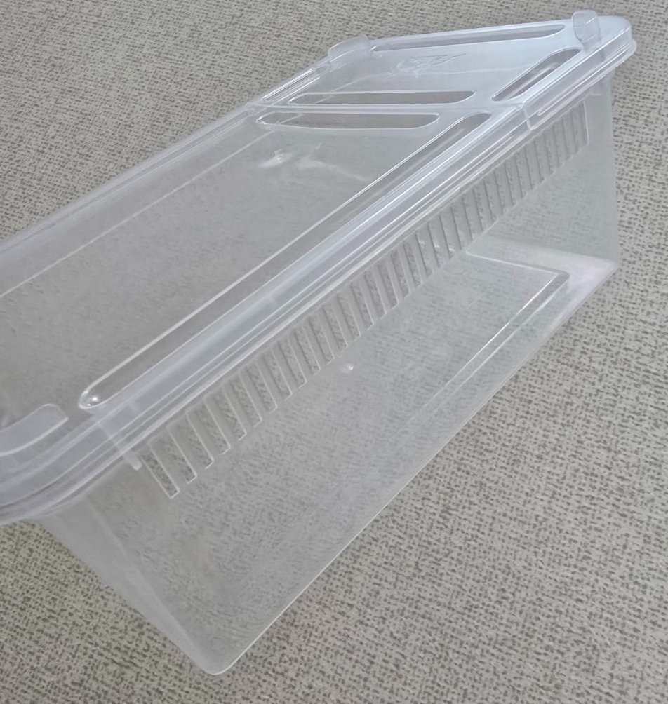 도마뱀 사육장 사진