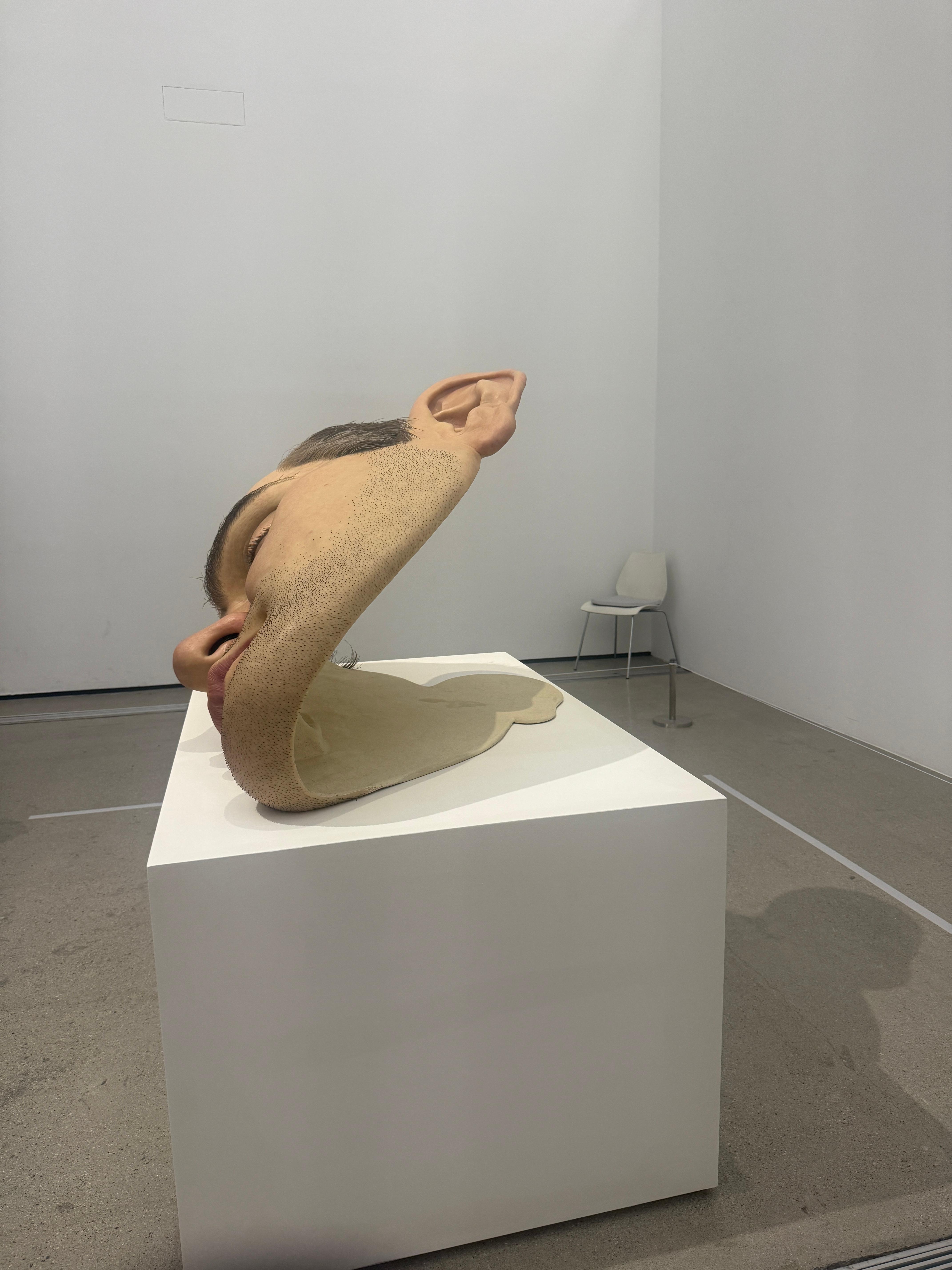 론 뮤익 전시