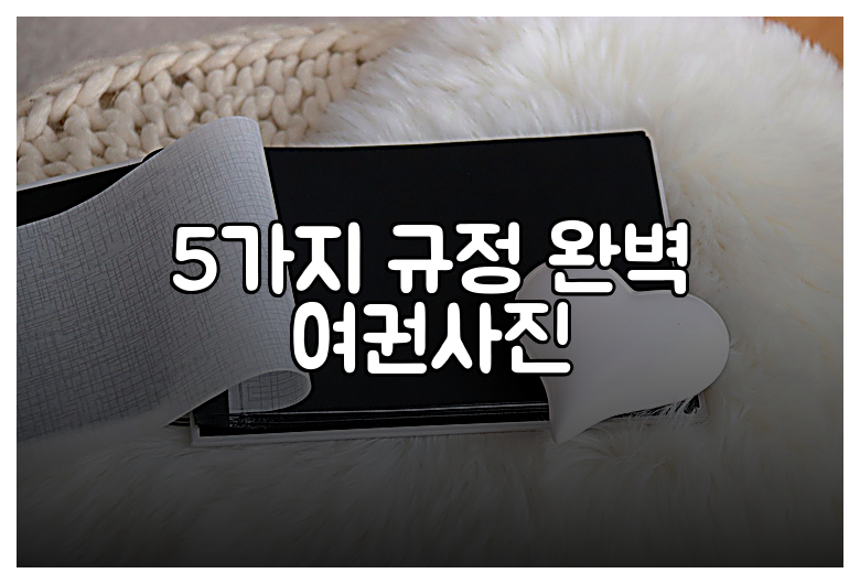 5가지 규정 완벽 여권사진