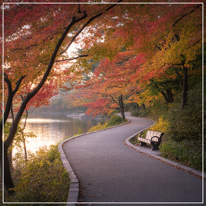 2025년 단풍 절정 시기 - 충청&middot;전라권 단풍 명소 이미지