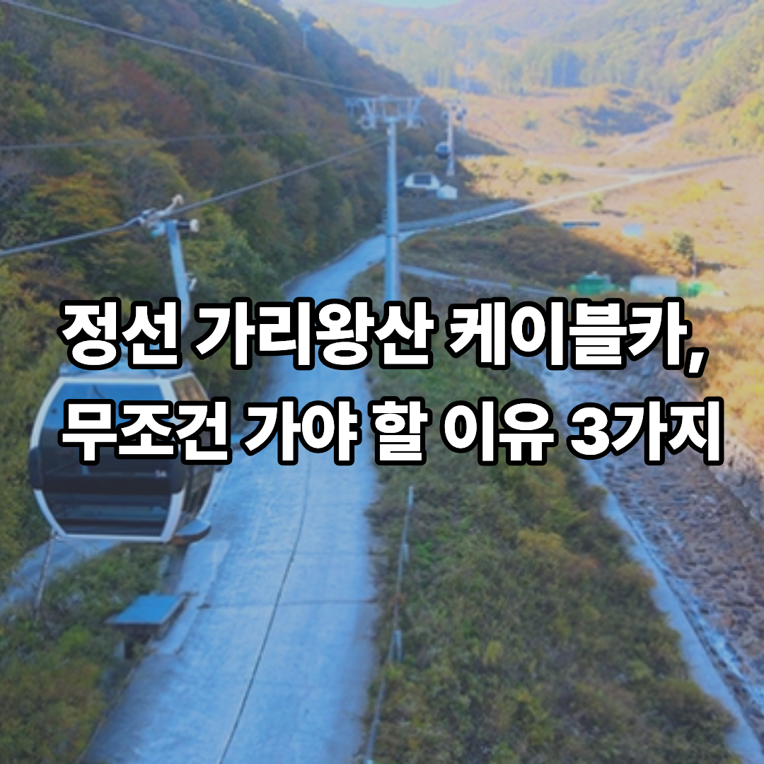 가리왕산 케이블카 예약 요금 운영 여부 등산 없이 만나는 설경 정선 여행