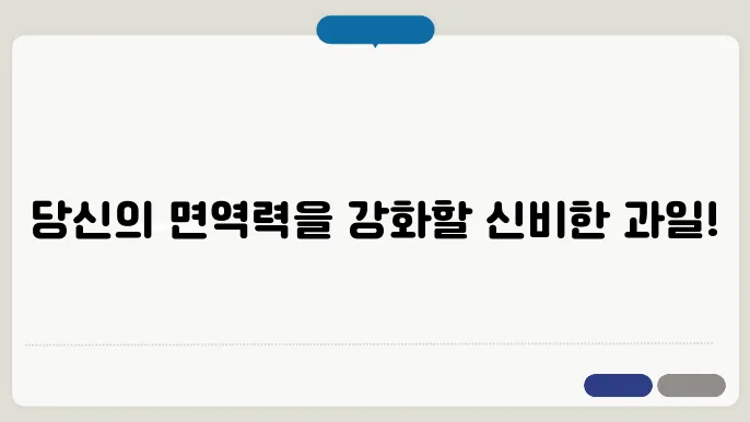 비타민 c 많은 과일