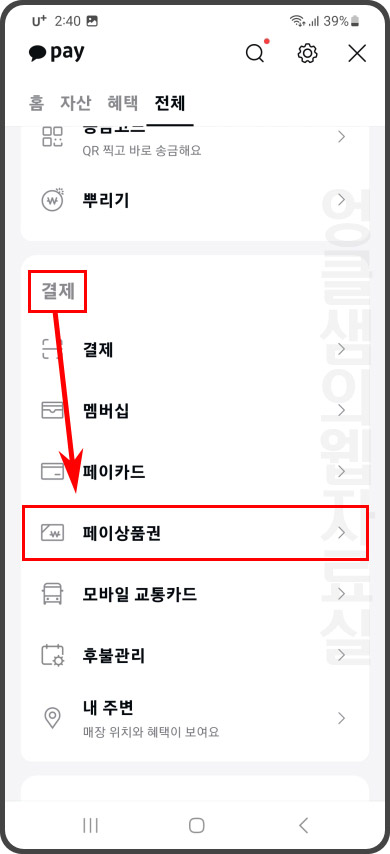 카카오페이 페이상품권