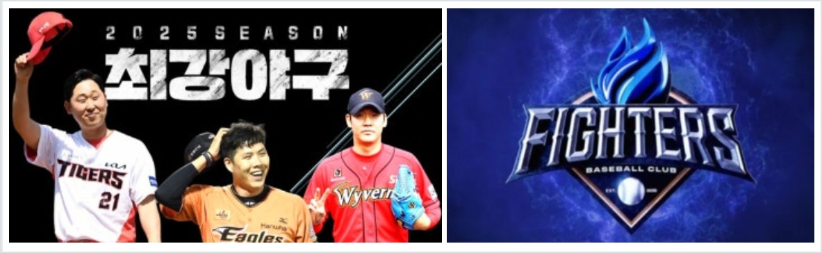 최강야구 폐지 수순! 시청률 0%대 추락, 불꽃야구는 제작 강행