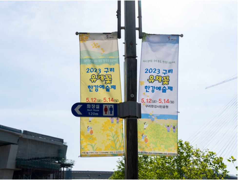 2023.구리 유채꽃축제.유채꽃 한강예술제.유채꽃 개화현황.주차