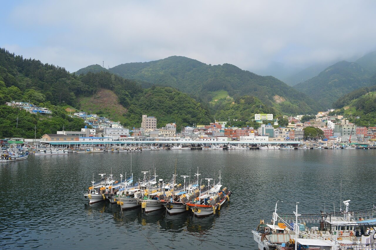 울릉도 여행1