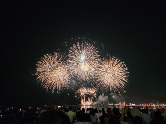 포항 국제불빛축제 불꽃쇼
