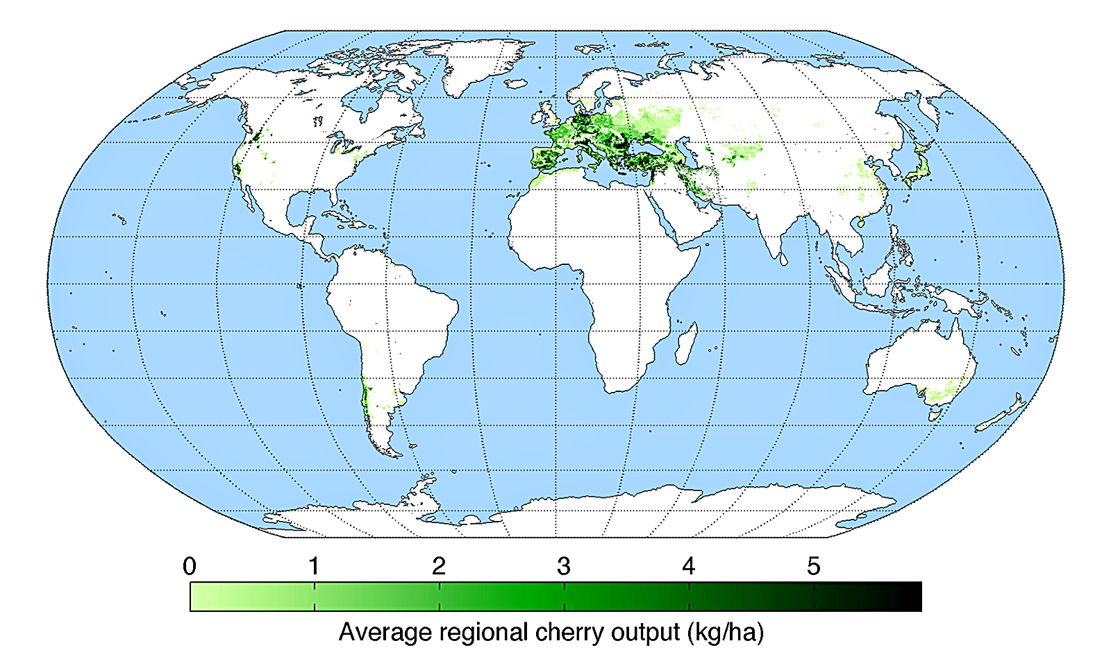 세계 체리 생산량 분포