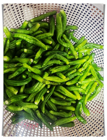 꽈리고추 세척