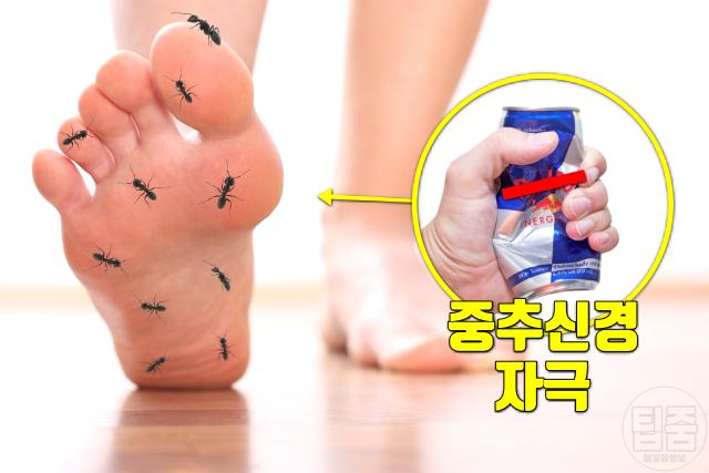 에너지드링크 부작용 카페인 하지불안증후군