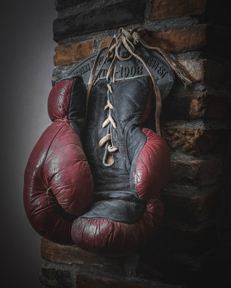복싱 장갑 사진