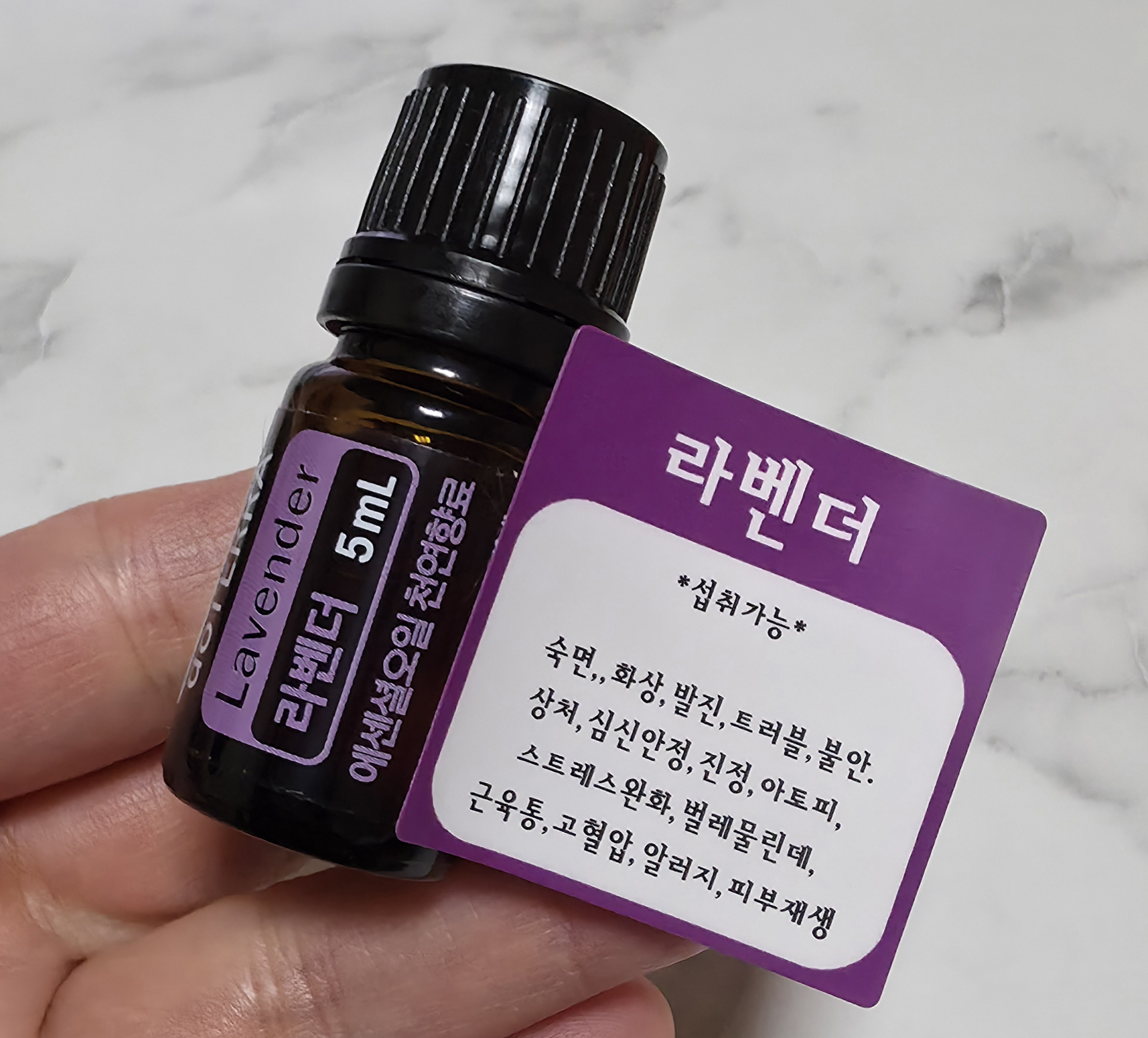 반려견 귀 건강을 위한 방법