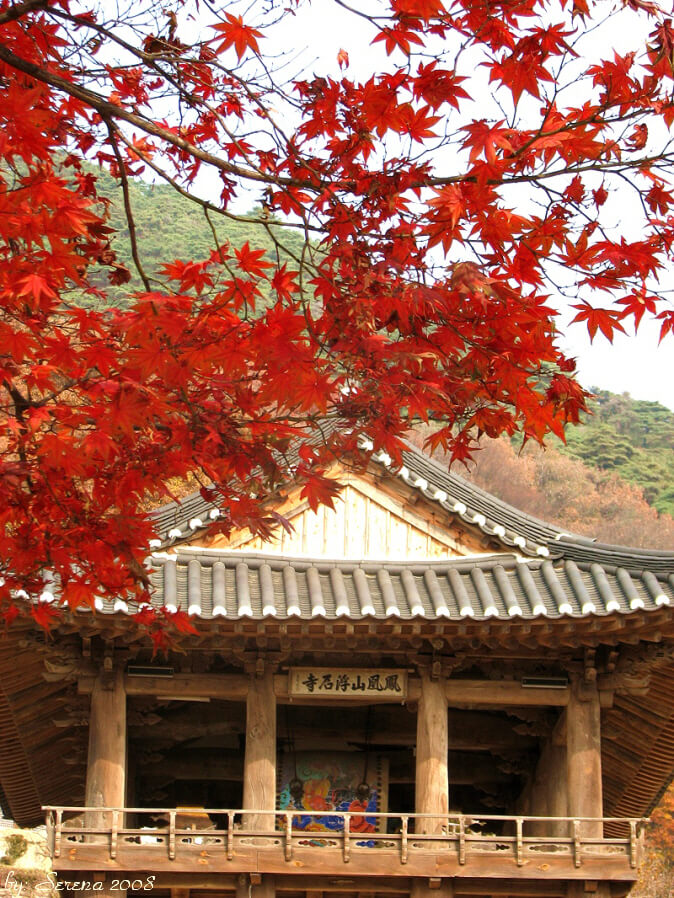 단풍놀이