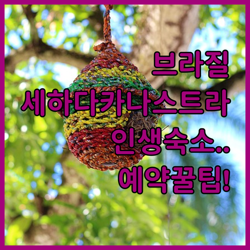 브라질 세하 다 카나스트라 친환경 포..