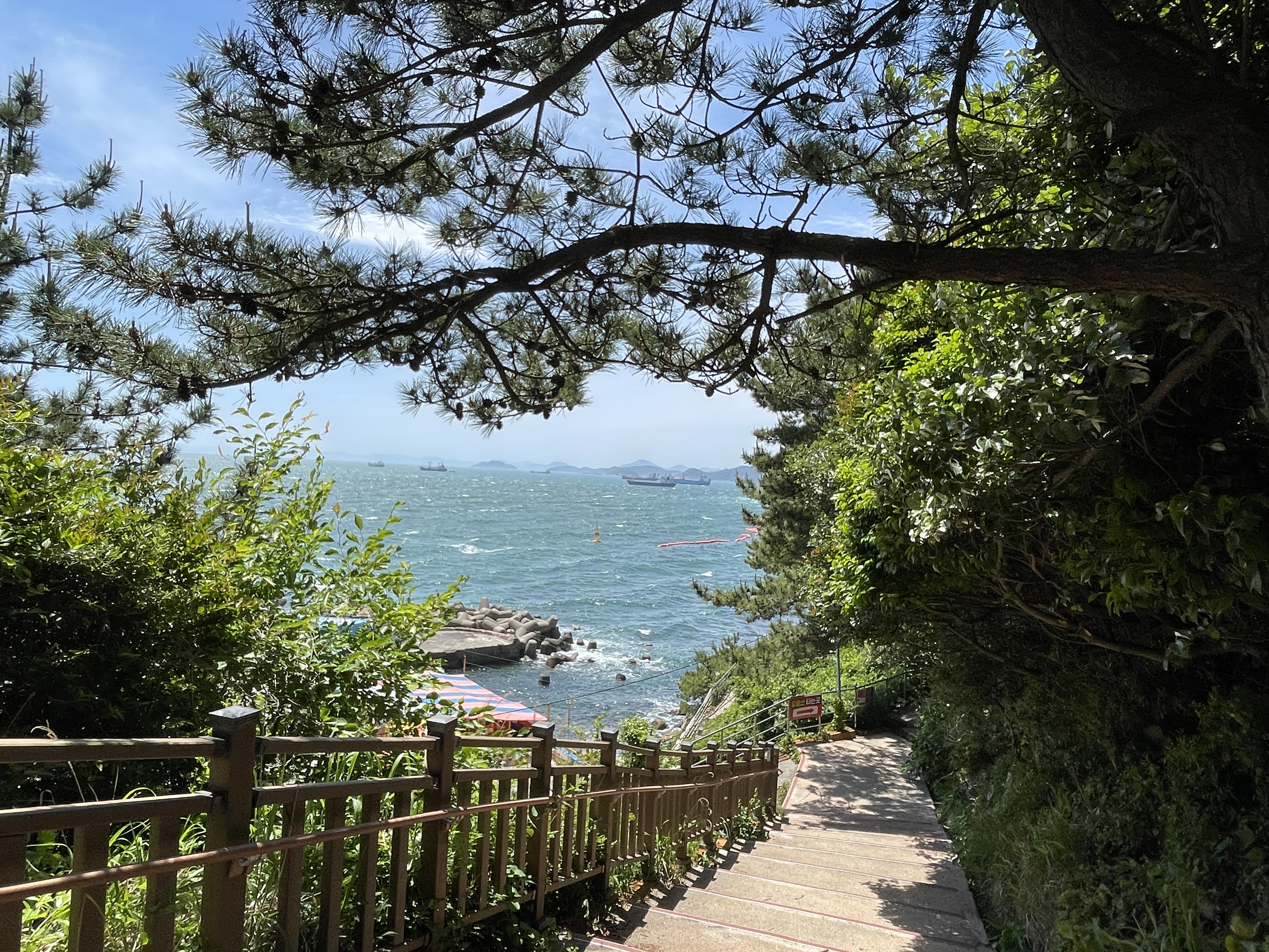 부산 여행 코스 추천