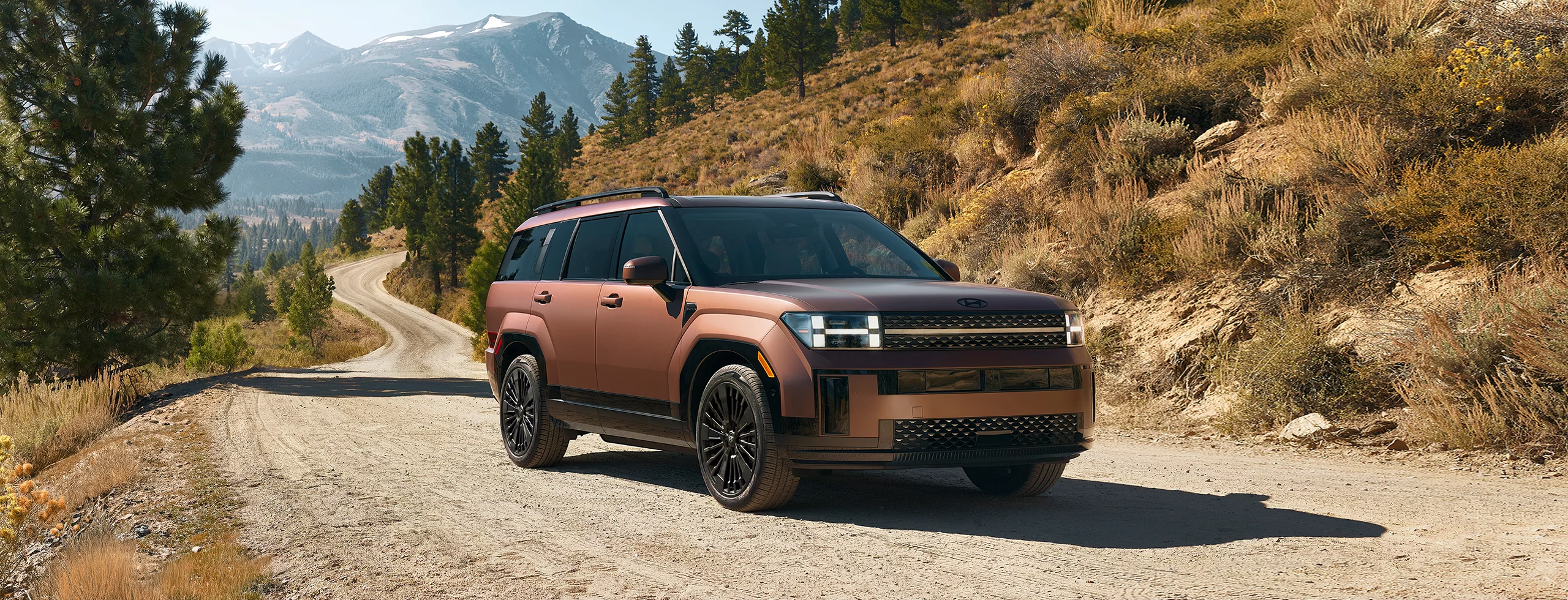 2025 현대 싼타페 &amp; 싼타페 하이브리드