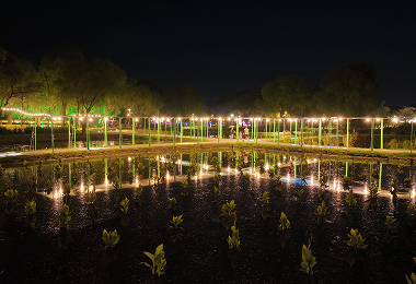 부여서동연꽃축제