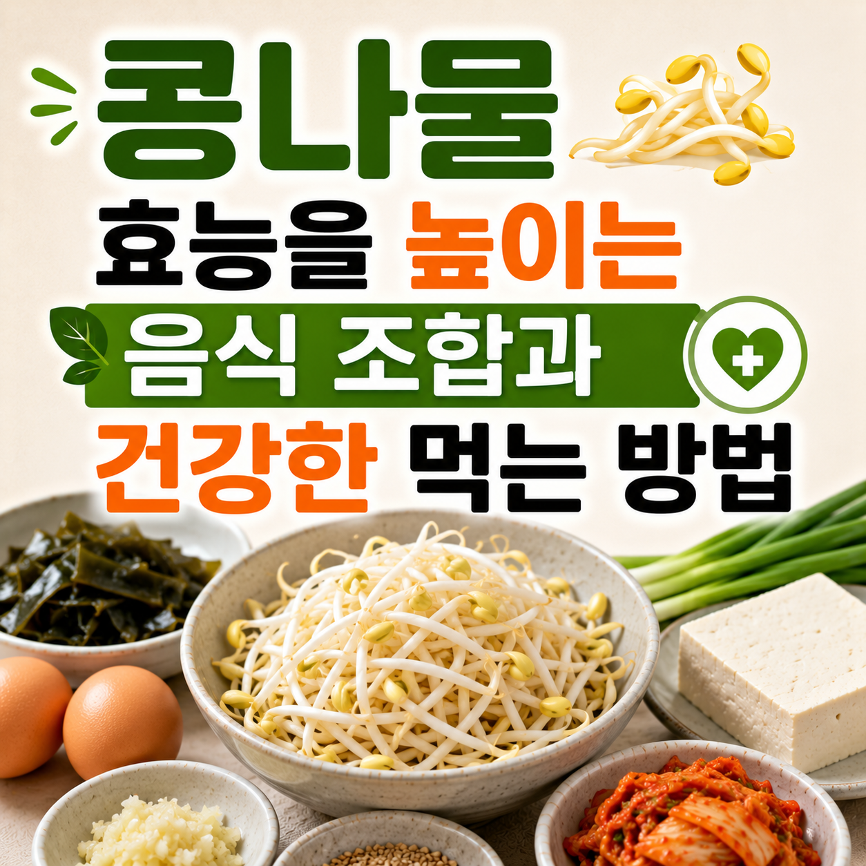 콩나물 효능을 높이는 음식