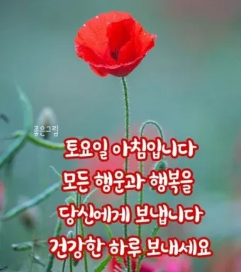 아침 인사 문자 날씨 변화에 맞춘 안부 문장 하루를 여는 표현_14