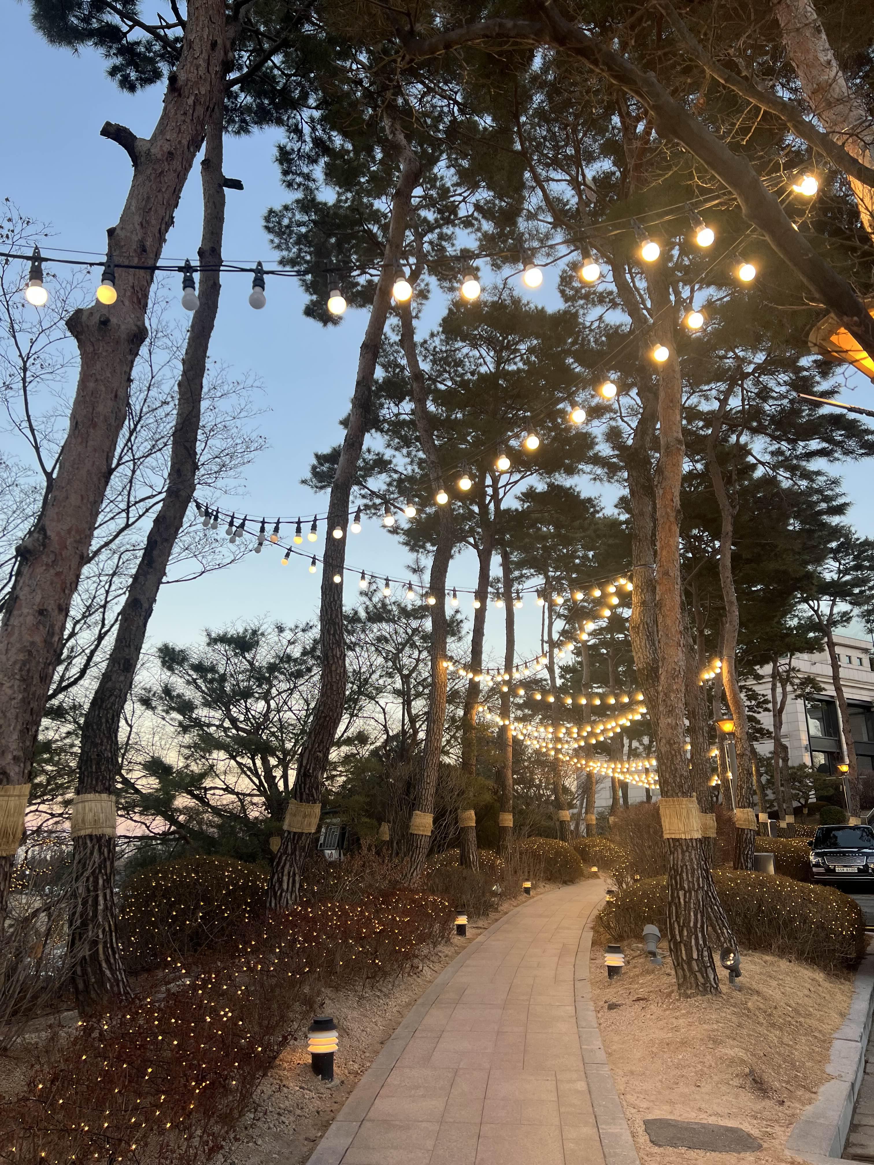 반얀트리호텔 꼬마전구 장식 일루미네이션