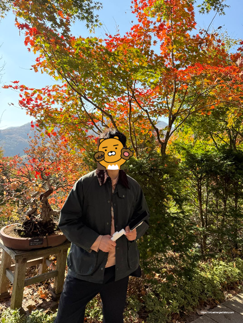 단풍나무와 함께