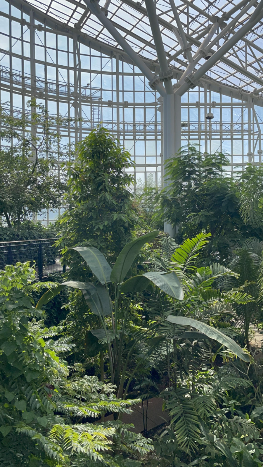 국립 세종수목원 사계절 전시온실 열대식물전시원