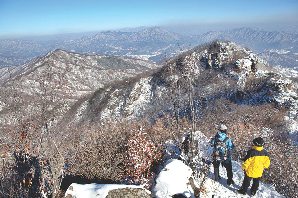 남양주 반려견 겨울 나들이 명소, 강아지와 함께 산책하기 좋은 곳 추천