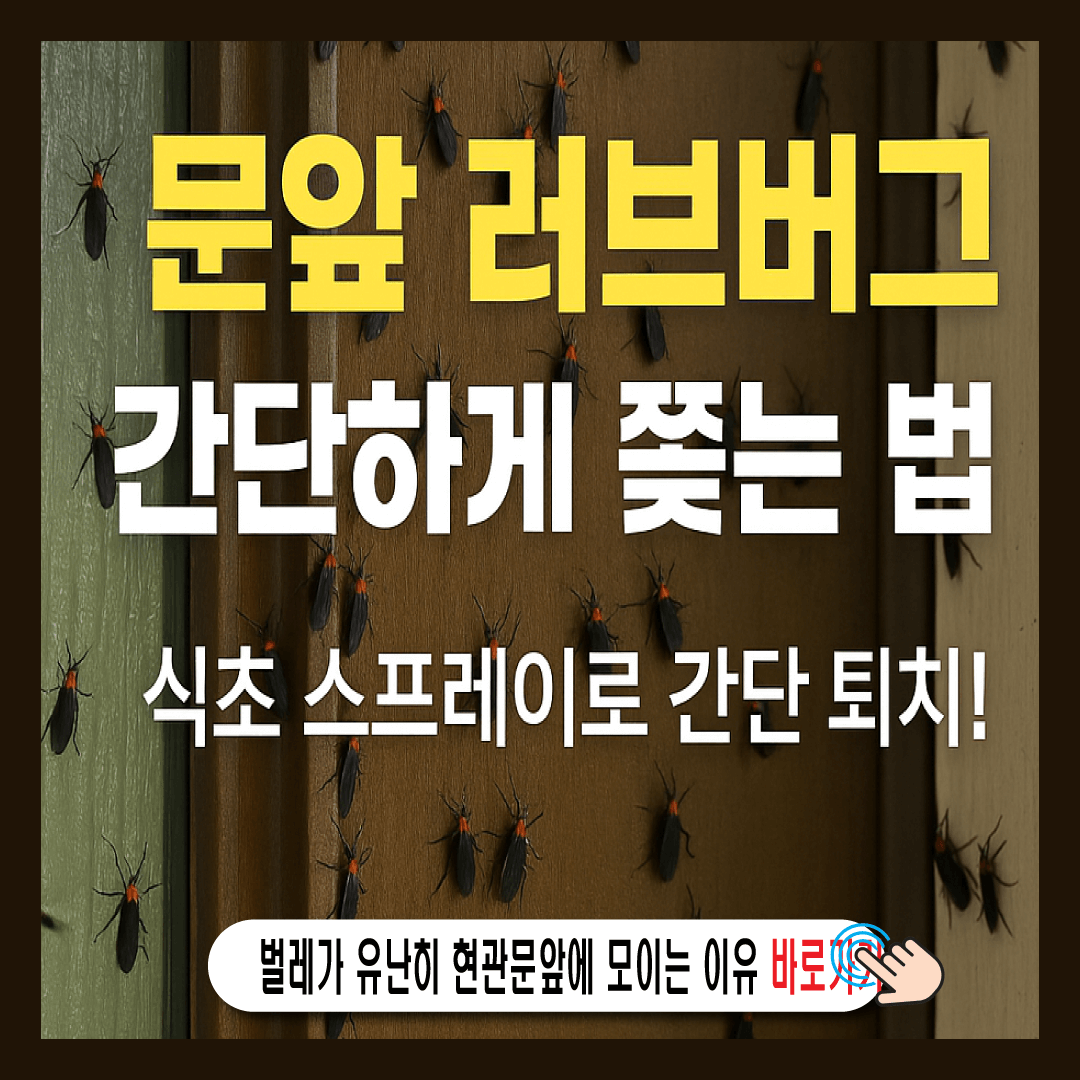 문앞 러브버그, 간단하게 쫓는 법-썸네일