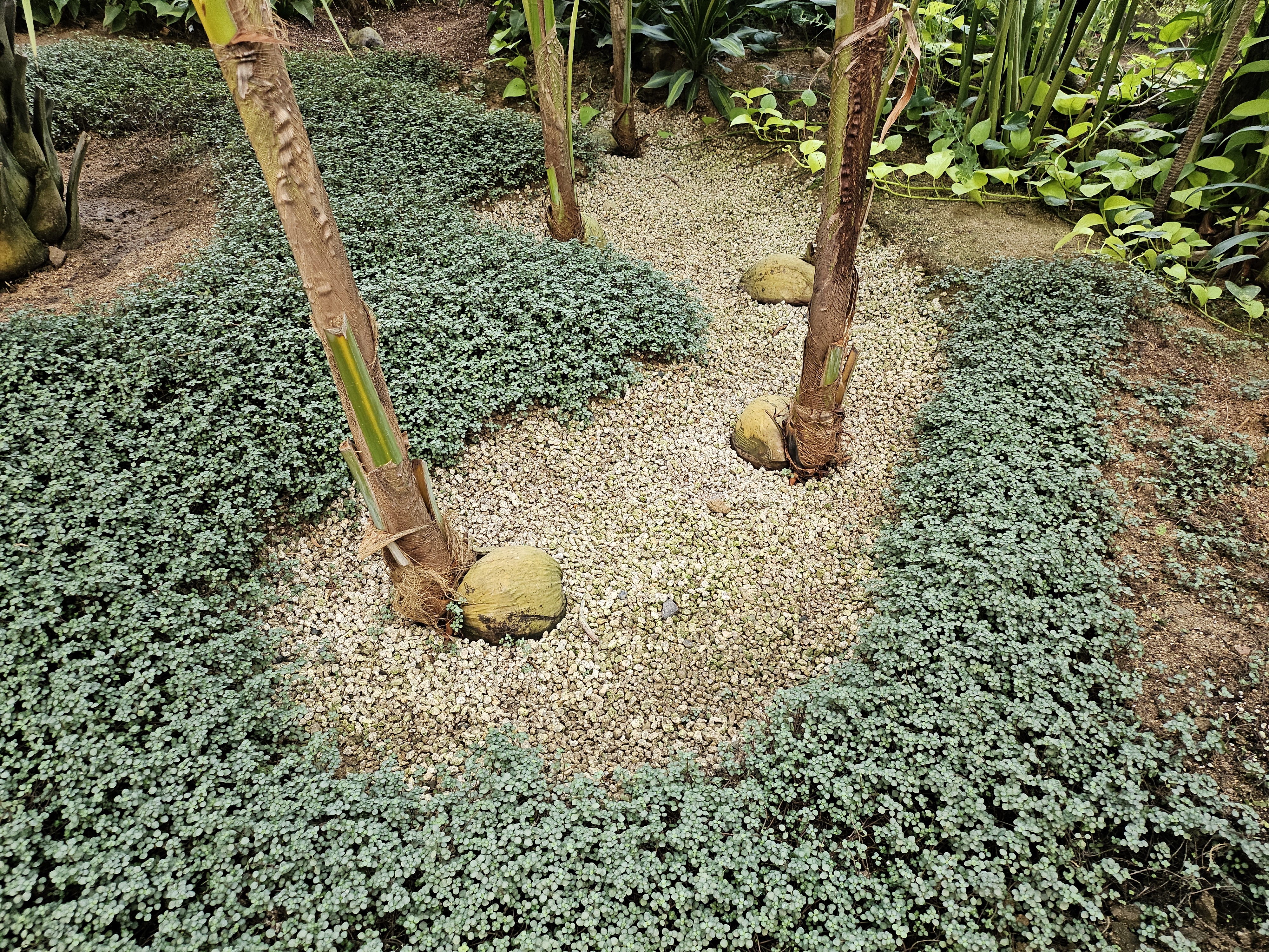 겨울 실내 아이와 가볼만한곳 부천호수공원 식물원 수피아