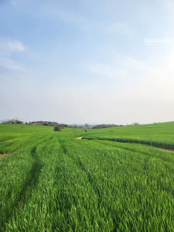 고창 맛집 베스트10 숨겨진 나만 아는 맛집_5