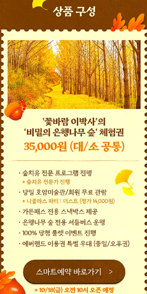 에버랜드 비밀의 은행나무 숲 예약 프로그램 신청 방법