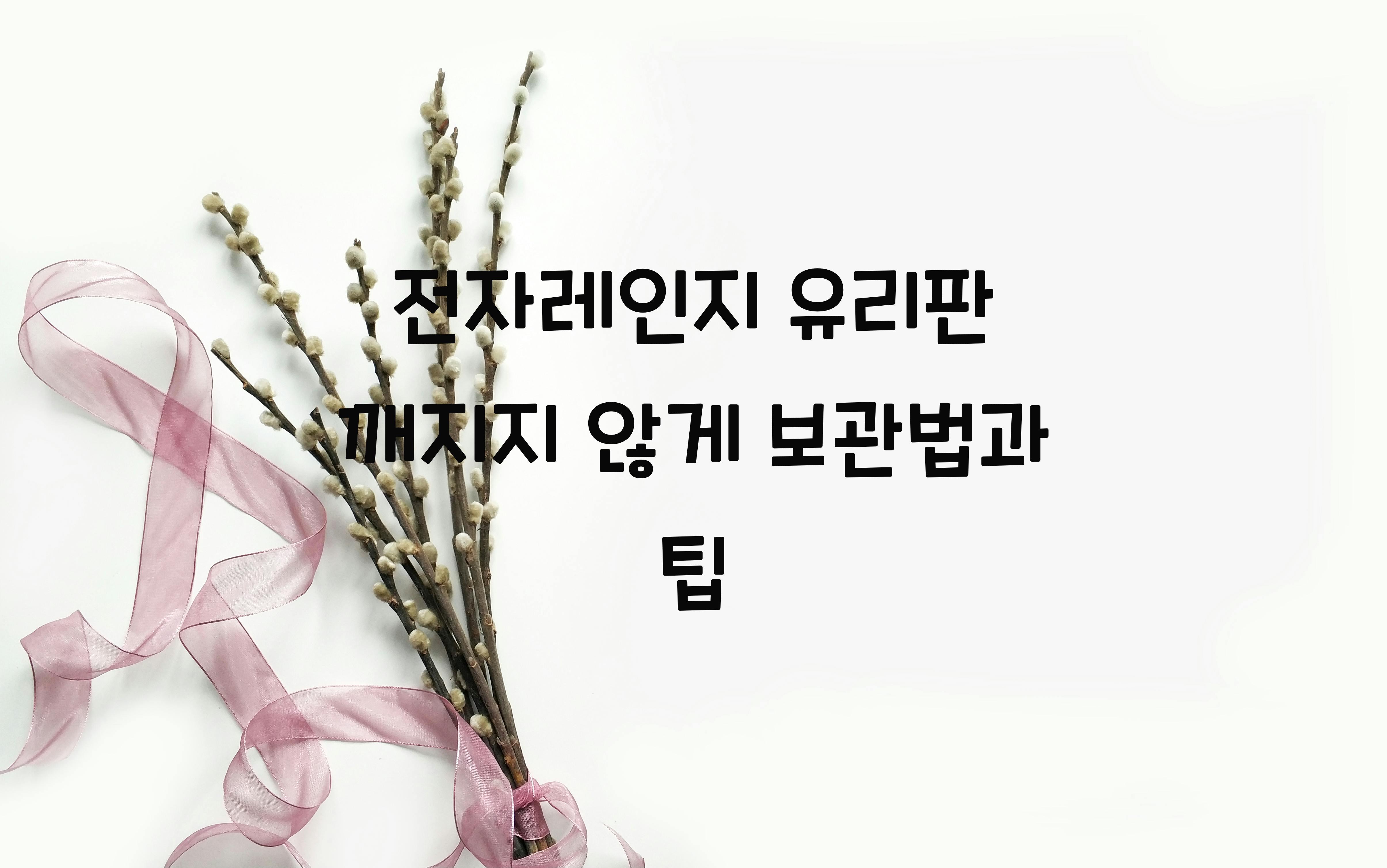 전자레인지 유리판 깨지지 않게 보관하는 법